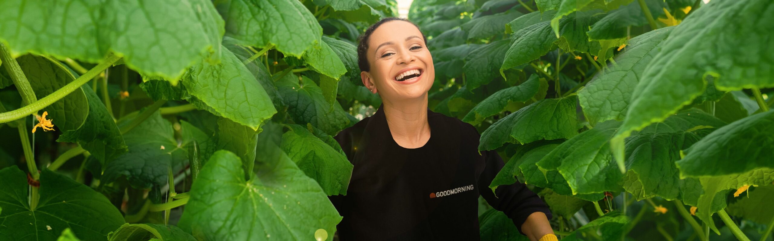 Looking for work in the Netherlands? GOODMORNING