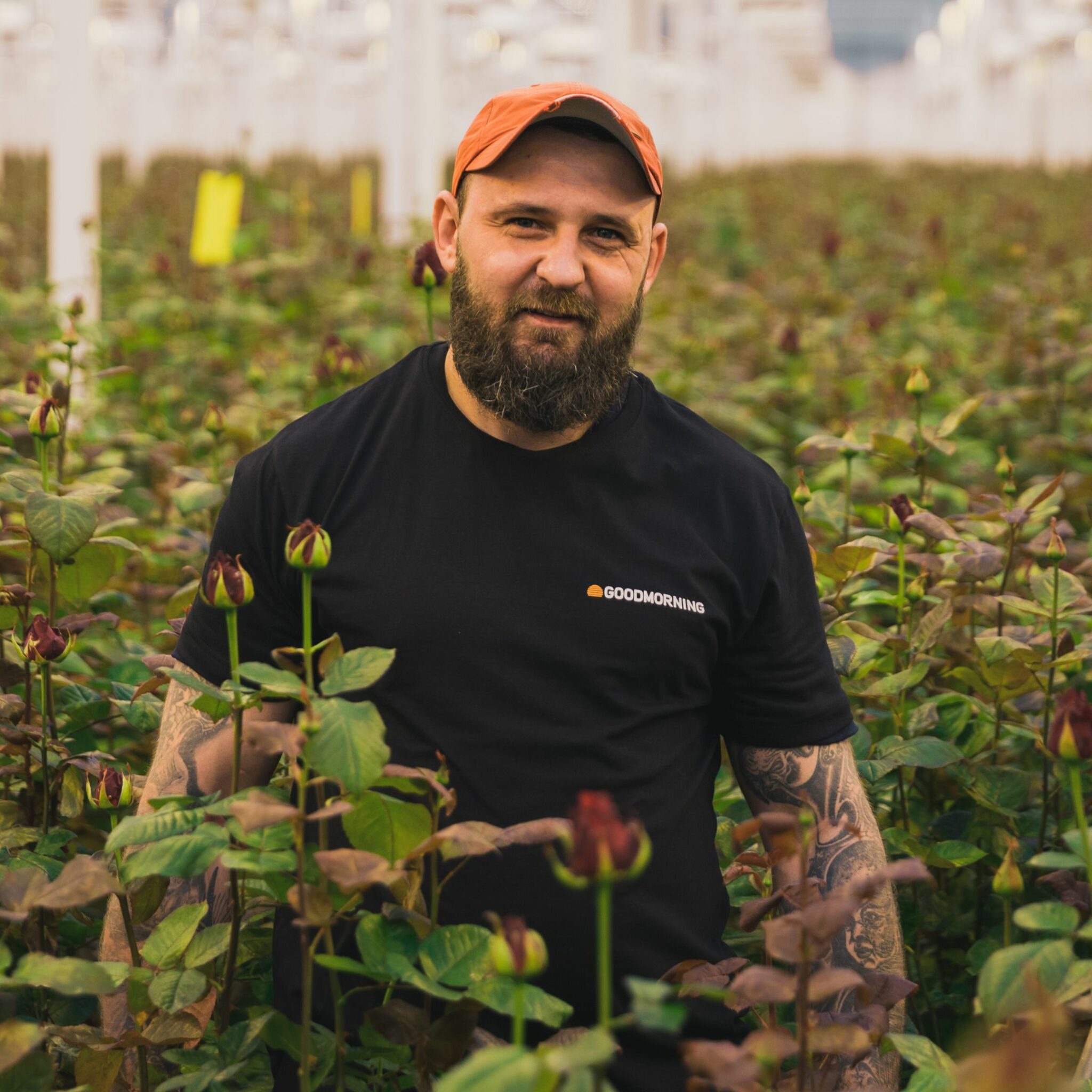 Voeding en Glastuinbouw
